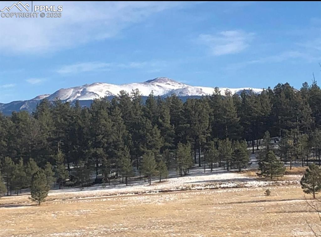 901 Wilson Drive Florissant CO 80816