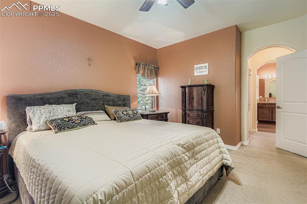 7035 Whitebark Lane Colorado Springs CO 80927