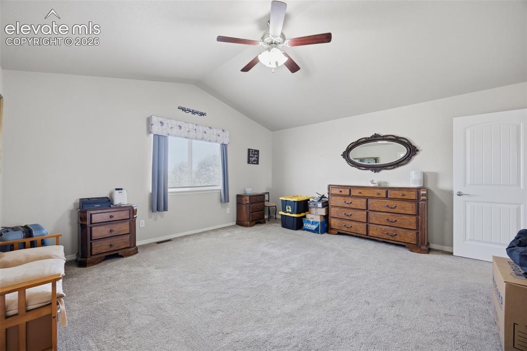 10138 Silver Stirrup Drive Colorado Springs CO 80925