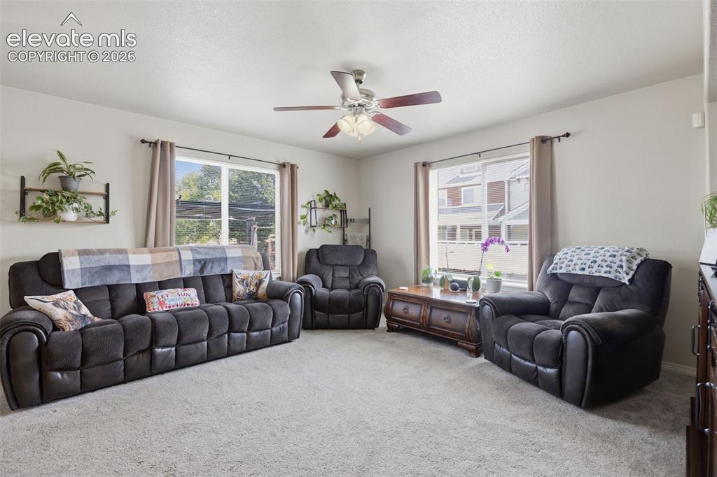 10138 Silver Stirrup Drive Colorado Springs CO 80925