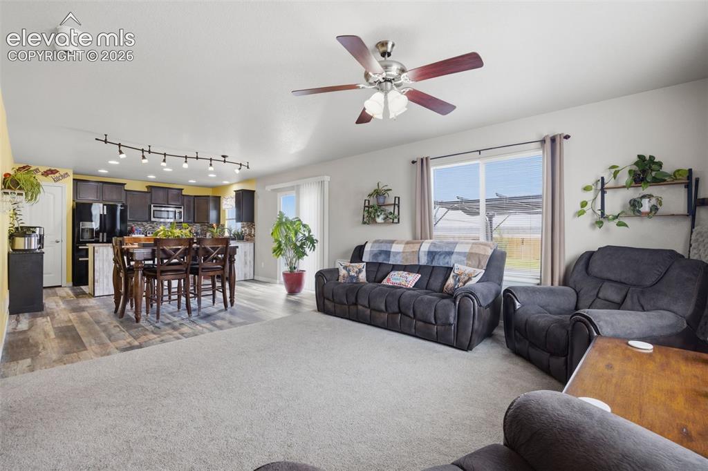 10138 Silver Stirrup Drive Colorado Springs CO 80925