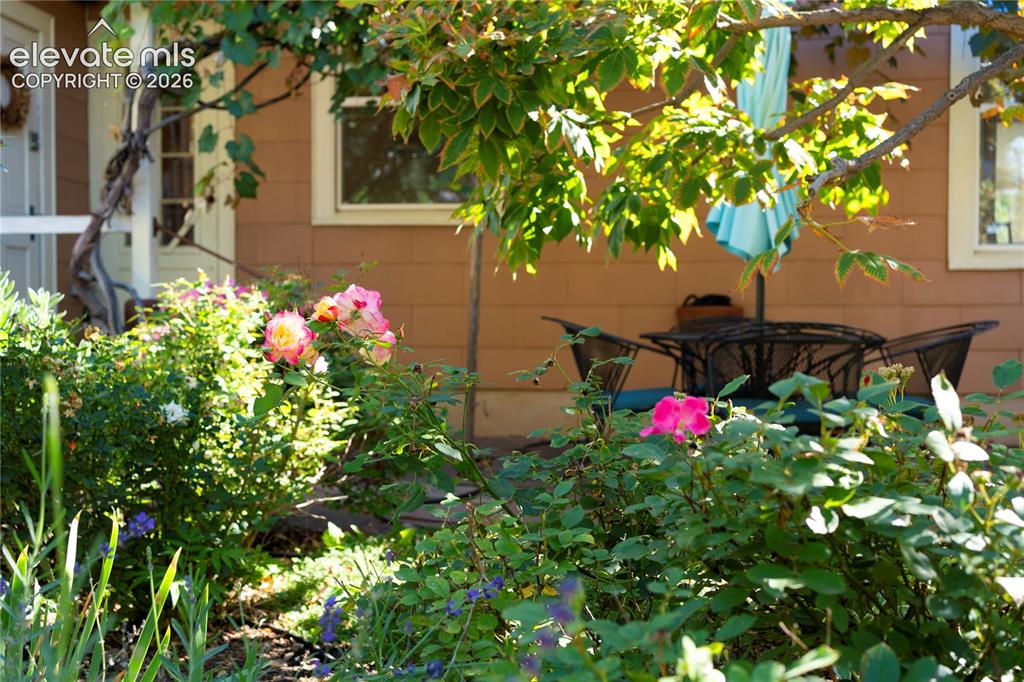 726 N Weber Street Colorado Springs CO 80903