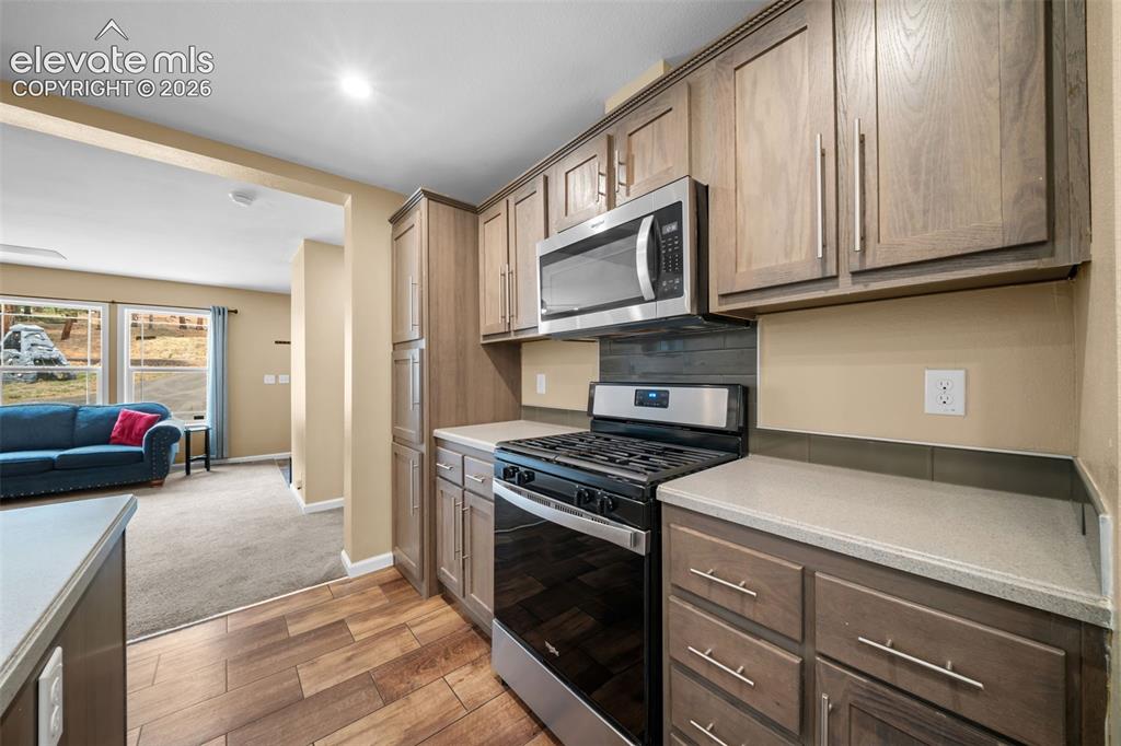 156 Fossil Creek Road Florissant CO 80816