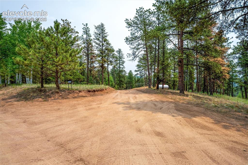156 Fossil Creek Road Florissant CO 80816