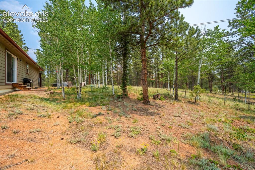156 Fossil Creek Road Florissant CO 80816
