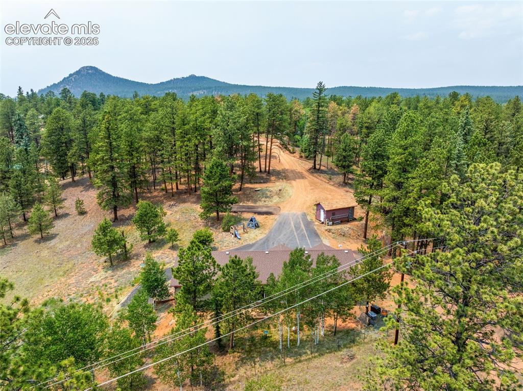 156 Fossil Creek Road Florissant CO 80816