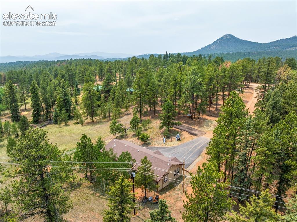 156 Fossil Creek Road Florissant CO 80816