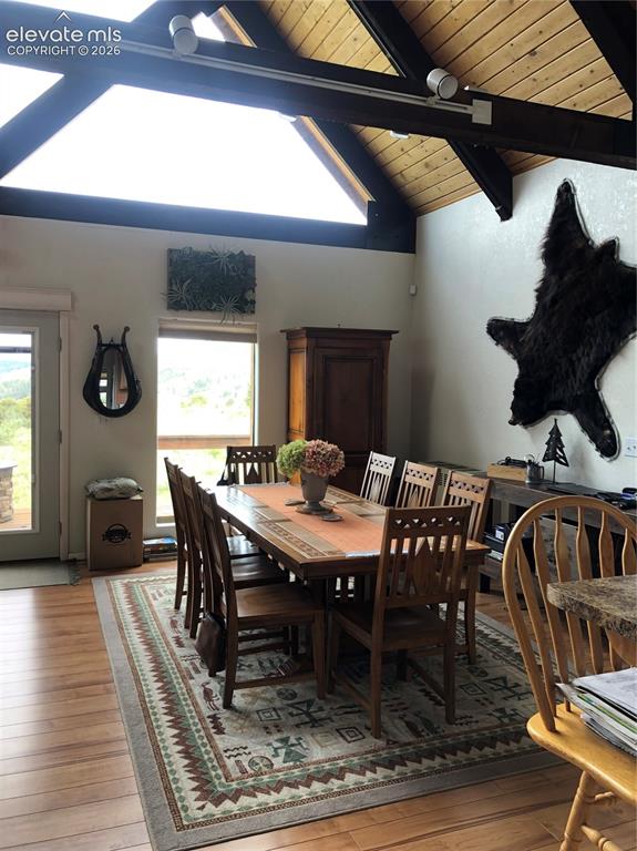 110 Guendel Place Fort Garland CO 81133