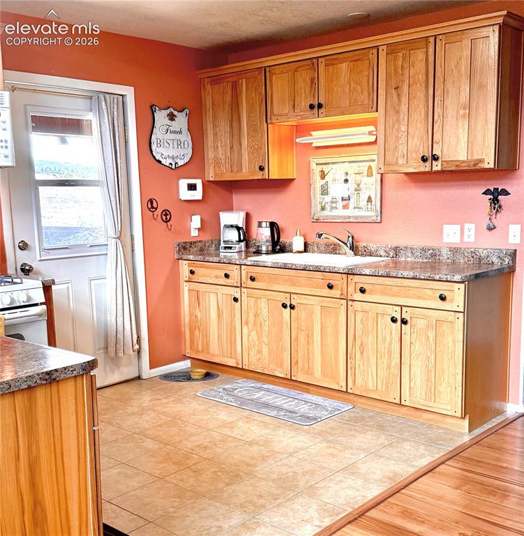 110 Guendel Place Fort Garland CO 81133