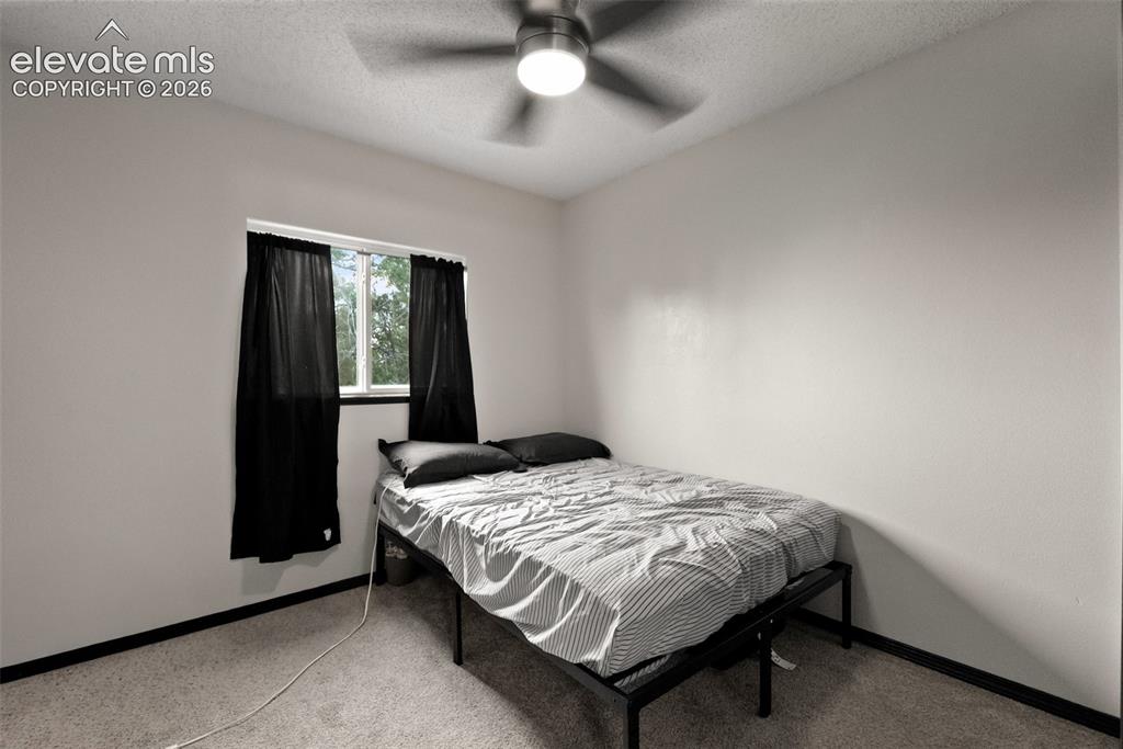 2634 Manassas Way Colorado Springs CO 80922