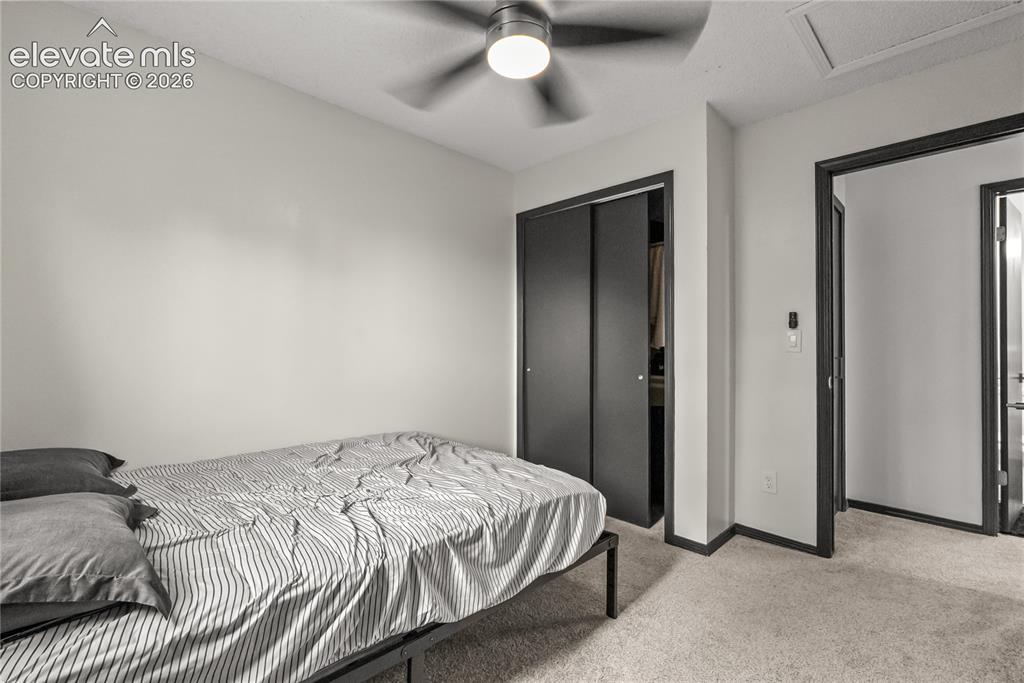 2634 Manassas Way Colorado Springs CO 80922