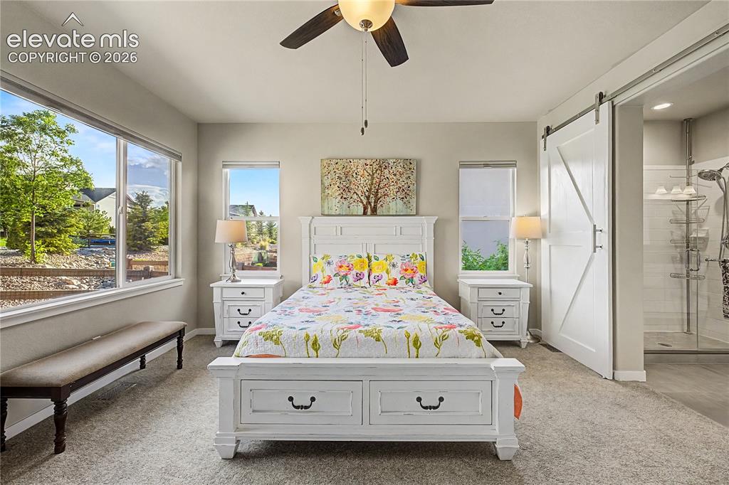 12626 Pensador Drive Colorado Springs CO 80921