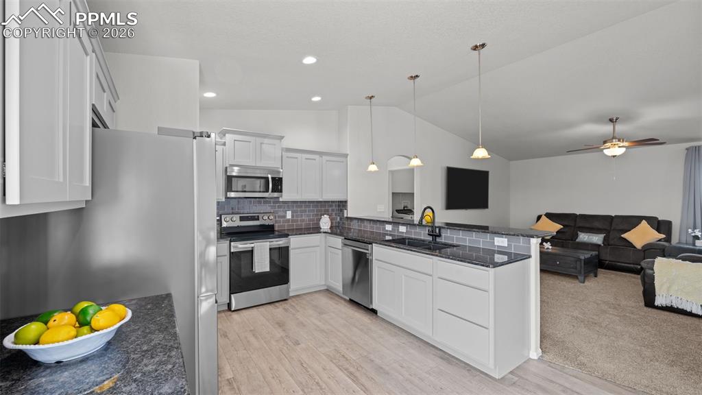 1196 E Purcell Place Pueblo CO 81007