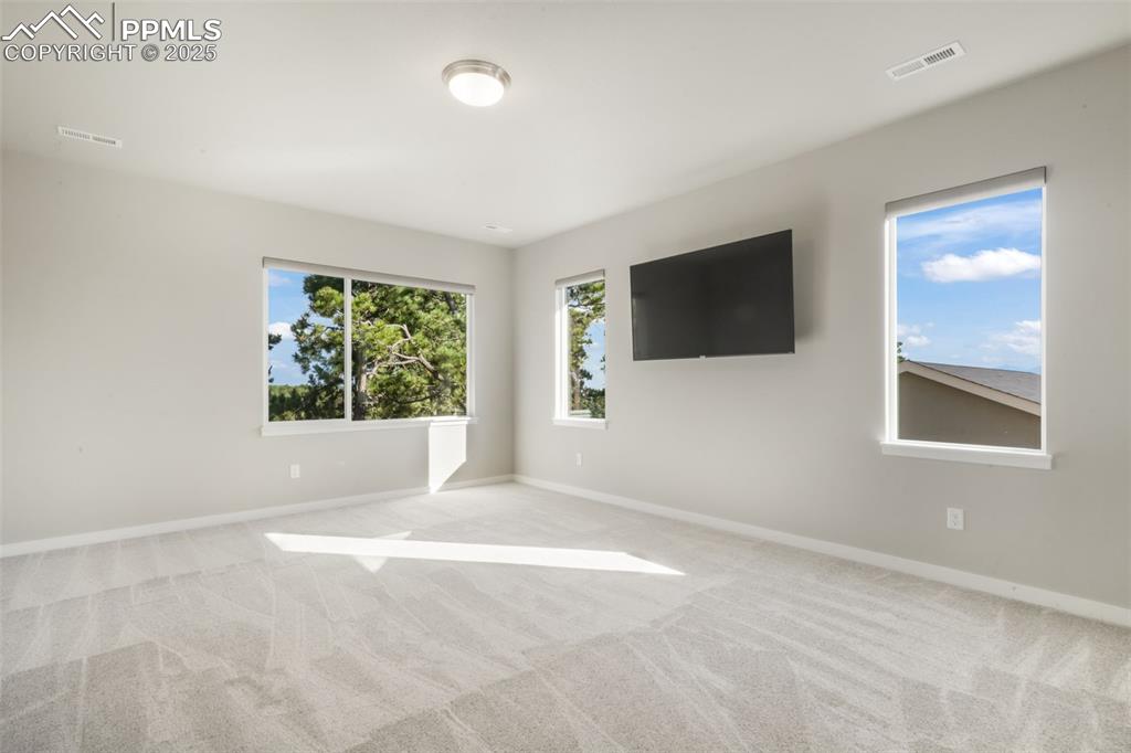16267 Thunder Cat Way Monument CO 80132
