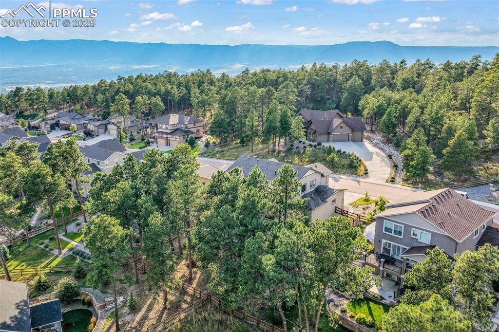 16267 Thunder Cat Way Monument CO 80132