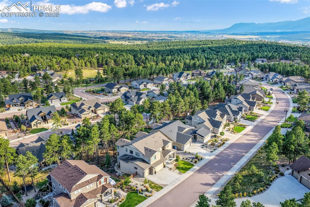 16267 Thunder Cat Way Monument CO 80132