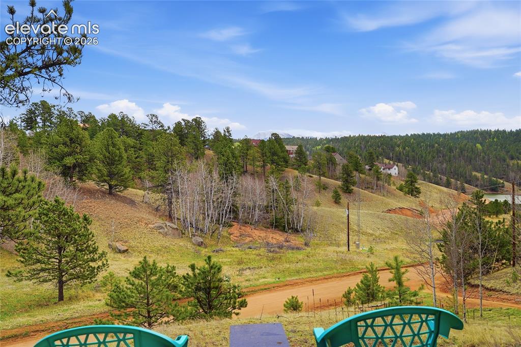 123 Granby Lake Way Divide CO 80814