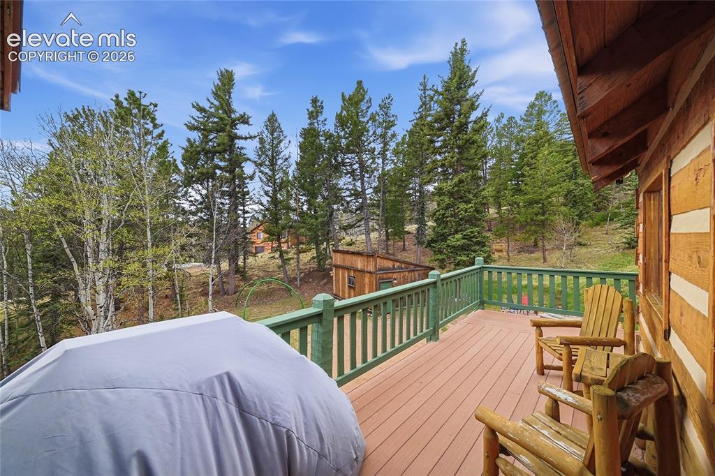 123 Granby Lake Way Divide CO 80814