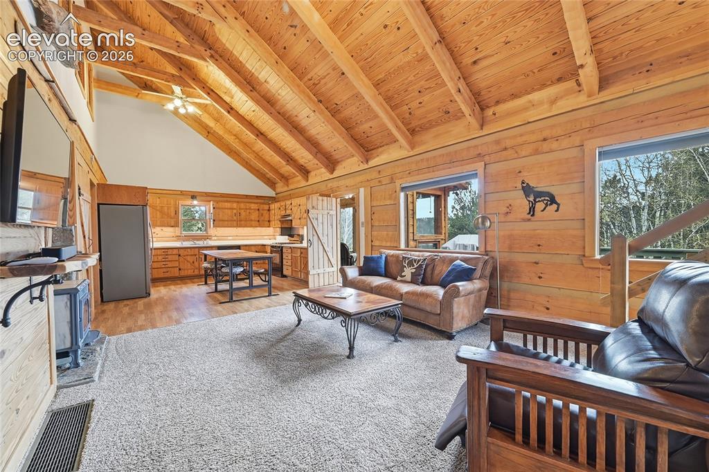 123 Granby Lake Way Divide CO 80814