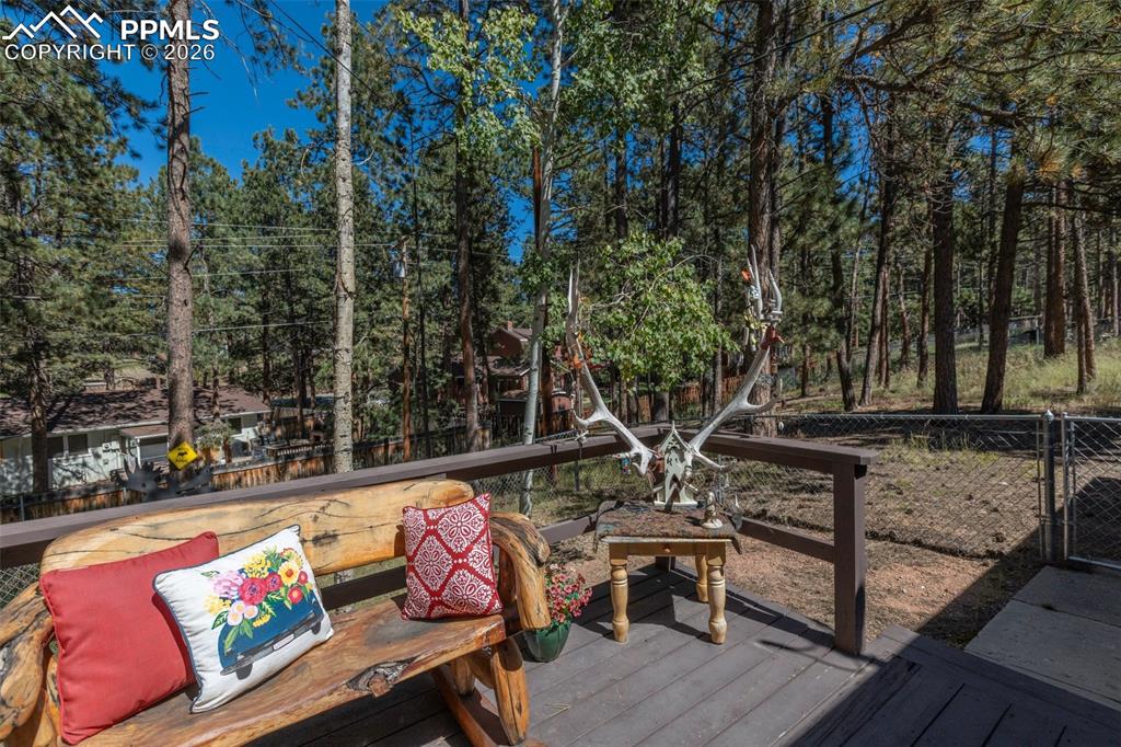 702 Sunnywood Loop Woodland Park CO 80863