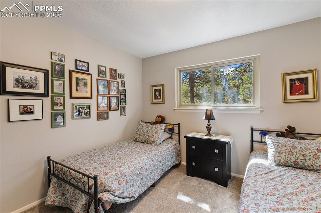 702 Sunnywood Loop Woodland Park CO 80863