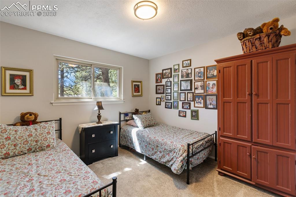 702 Sunnywood Loop Woodland Park CO 80863