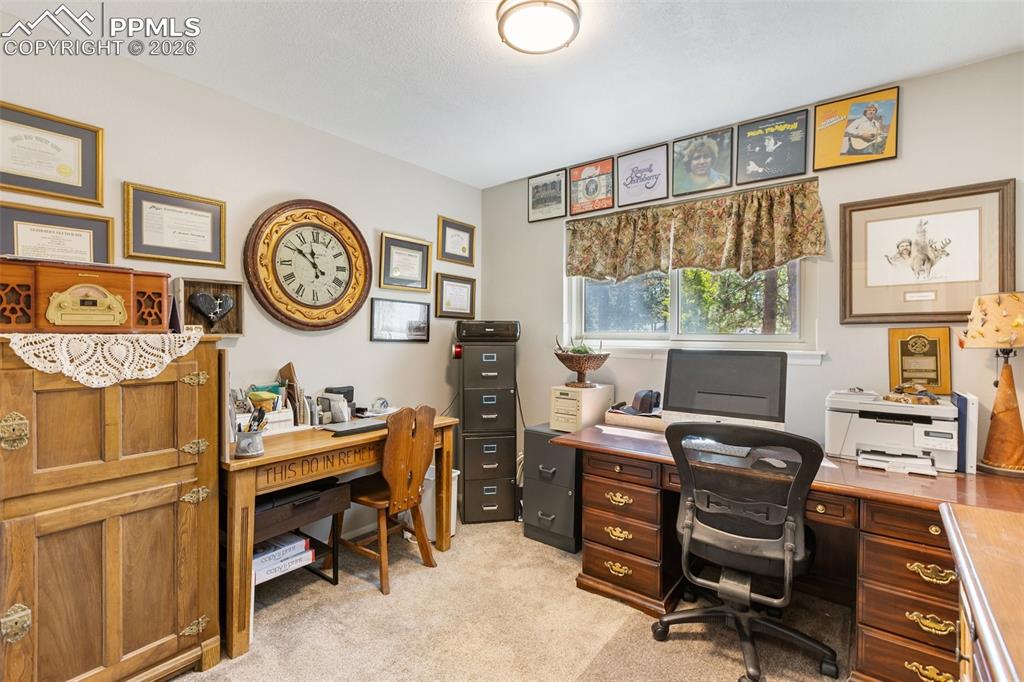702 Sunnywood Loop Woodland Park CO 80863