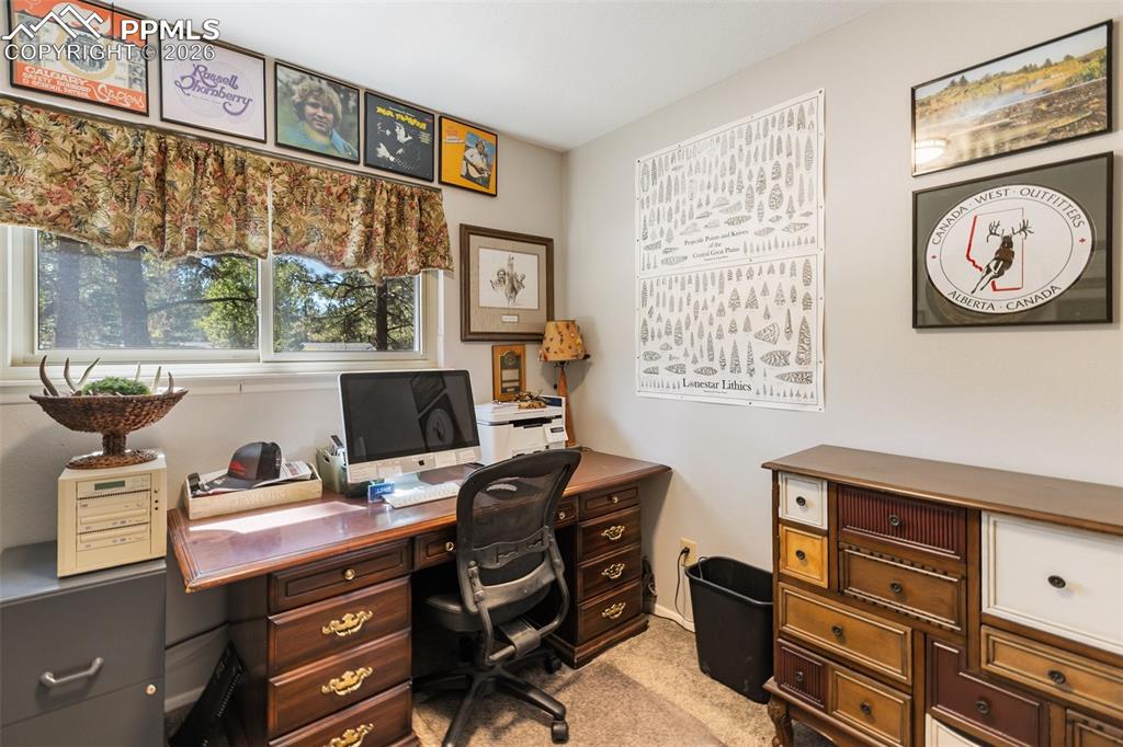 702 Sunnywood Loop Woodland Park CO 80863