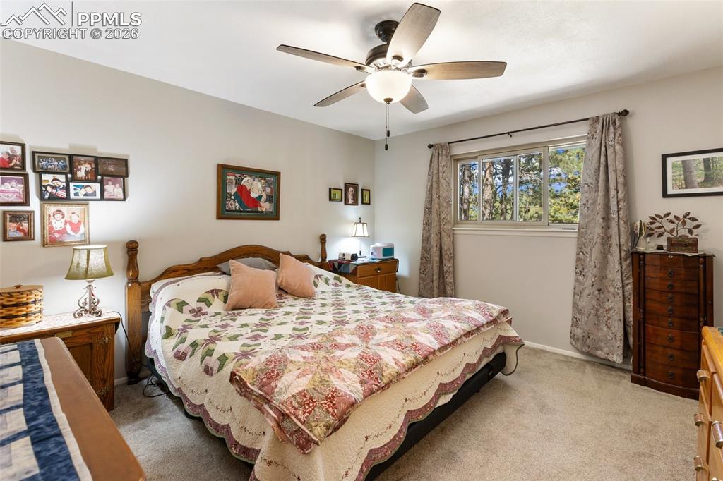 702 Sunnywood Loop Woodland Park CO 80863