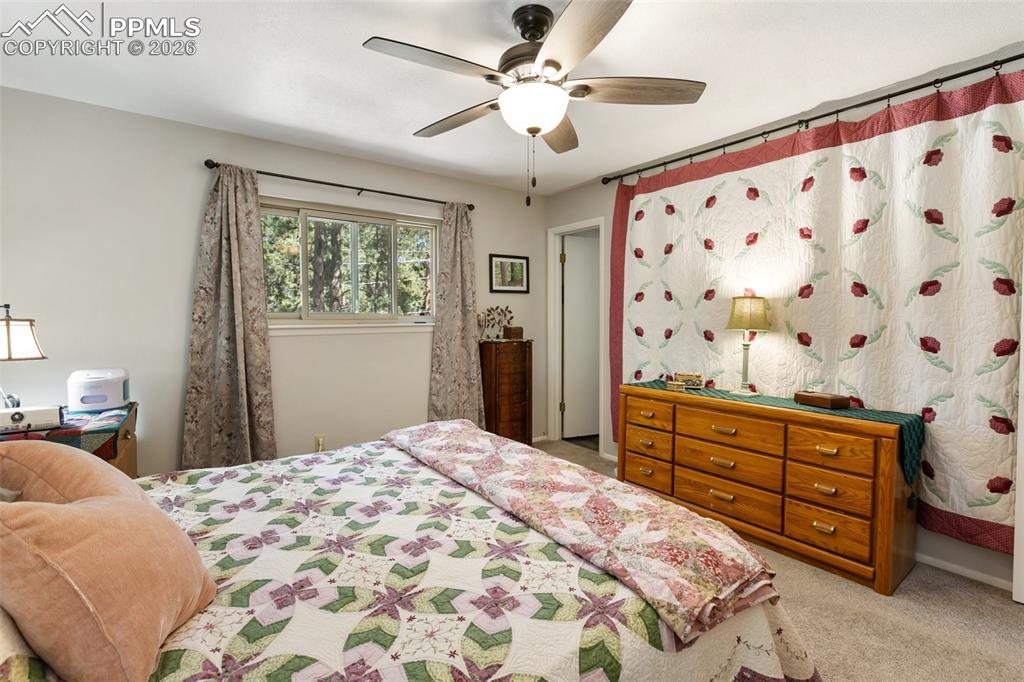 702 Sunnywood Loop Woodland Park CO 80863
