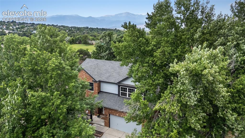 3935 Sedgewood Way Colorado Springs CO 80918