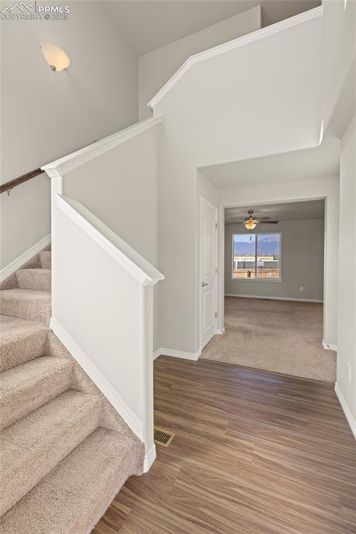 956 Bidwell Drive Colorado Springs CO 80915