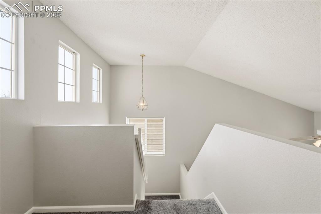 724 Prairie Star Circle Colorado Springs CO 80916