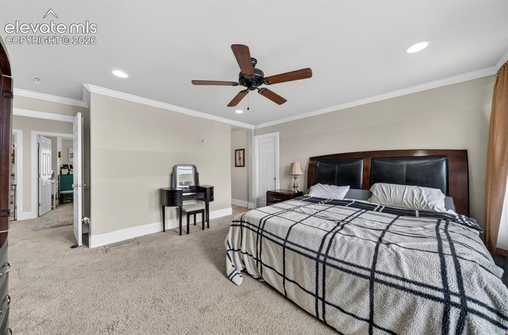 6660 Big Leaf Lane Colorado Springs CO 80927