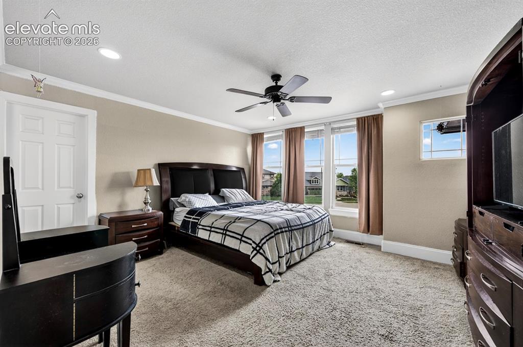 6660 Big Leaf Lane Colorado Springs CO 80927