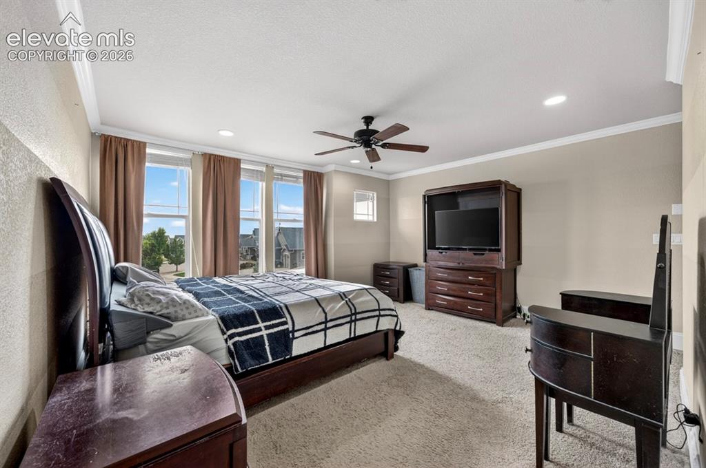 6660 Big Leaf Lane Colorado Springs CO 80927