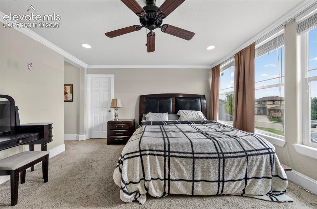 6660 Big Leaf Lane Colorado Springs CO 80927