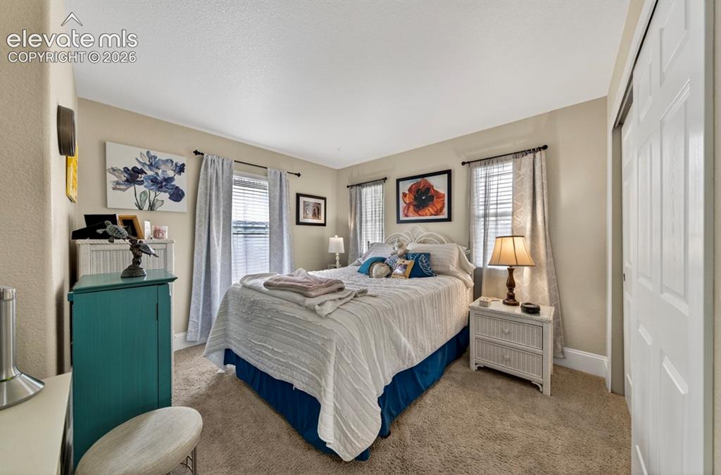 6660 Big Leaf Lane Colorado Springs CO 80927