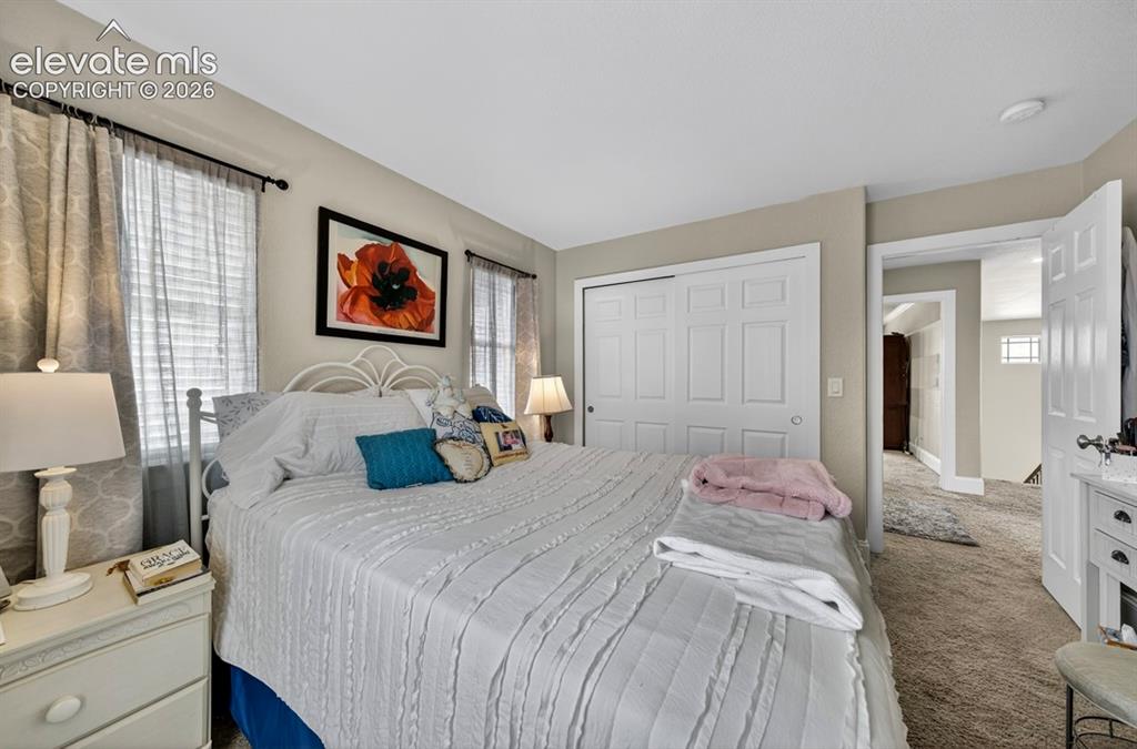 6660 Big Leaf Lane Colorado Springs CO 80927