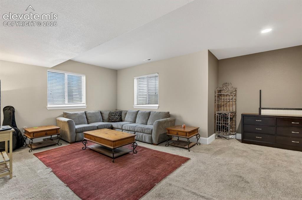 6660 Big Leaf Lane Colorado Springs CO 80927