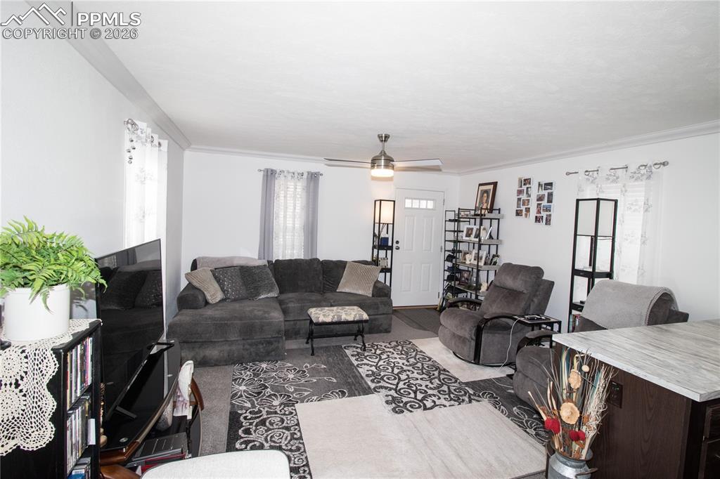 218 W Thurlow Avenue Cripple Creek CO 80813