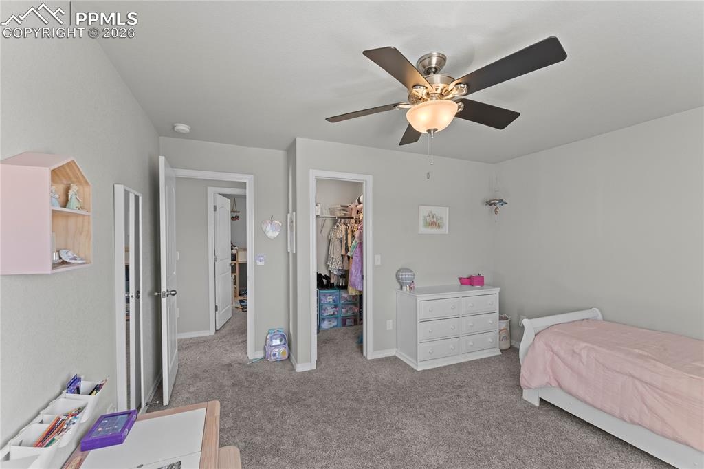 8984 Vanderwood Road Colorado Springs CO 80908