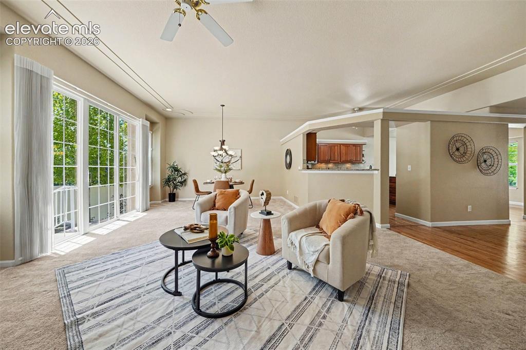4835 Rushford Place Colorado Springs CO 80923