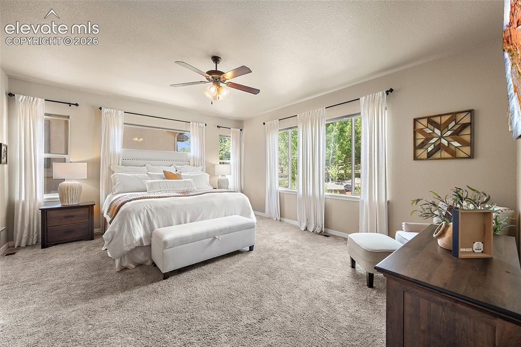 13296 Cedarville Way Colorado Springs CO 80921