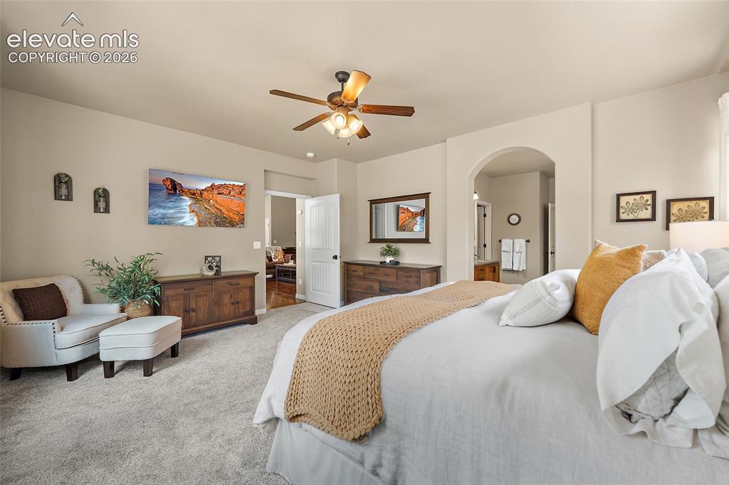 13296 Cedarville Way Colorado Springs CO 80921