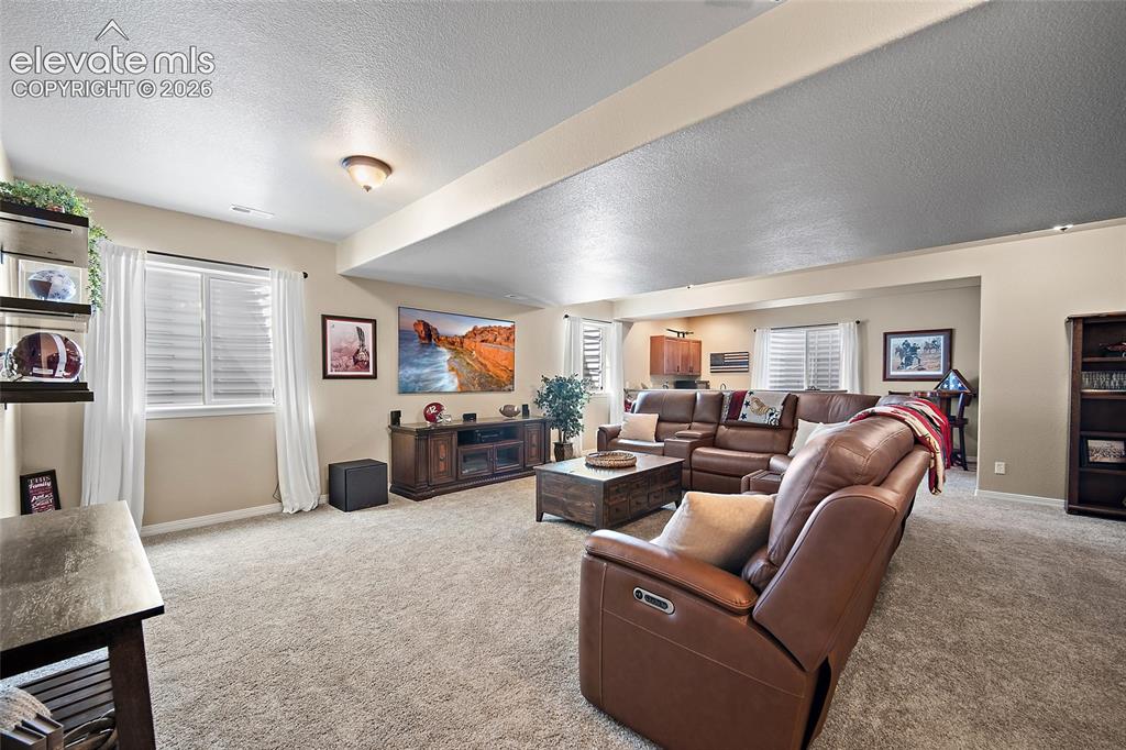 13296 Cedarville Way Colorado Springs CO 80921