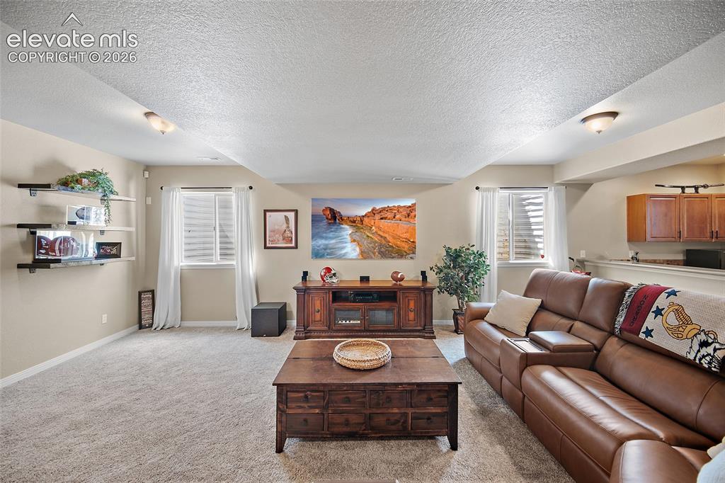 13296 Cedarville Way Colorado Springs CO 80921