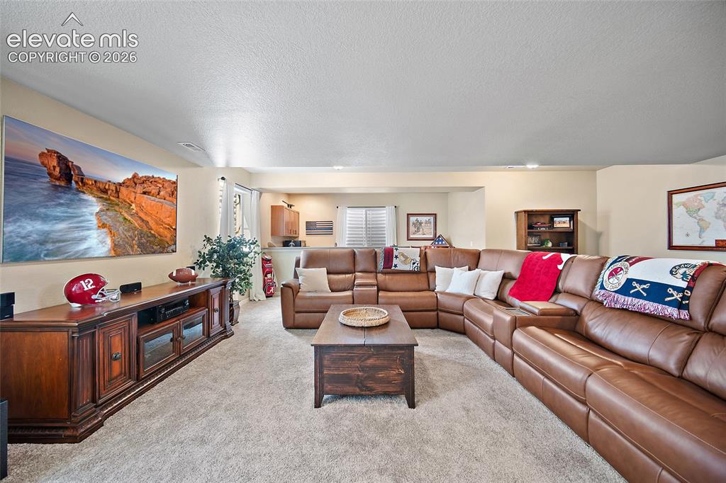 13296 Cedarville Way Colorado Springs CO 80921