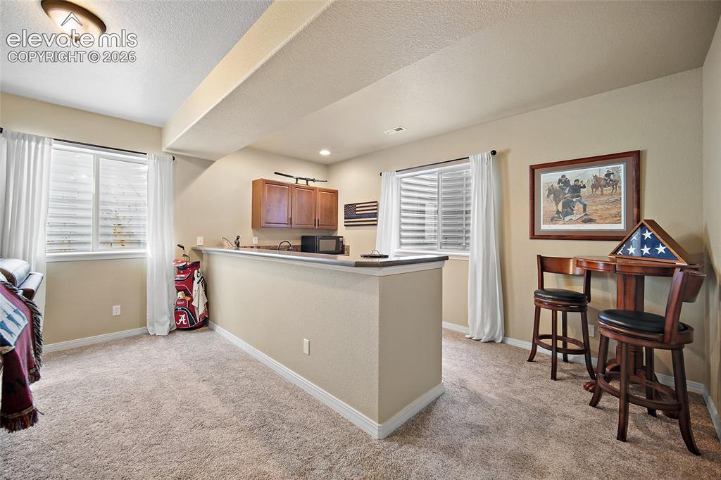 13296 Cedarville Way Colorado Springs CO 80921
