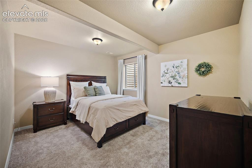 13296 Cedarville Way Colorado Springs CO 80921